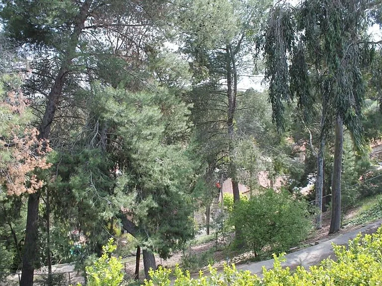 21950 Birds Eye Dr — Photo 8