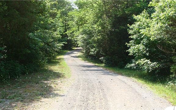 3rd image of 310 Old Kingston Mill Rd