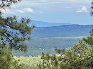Oso Ridge Lookout Rd, Grants, NM 87020