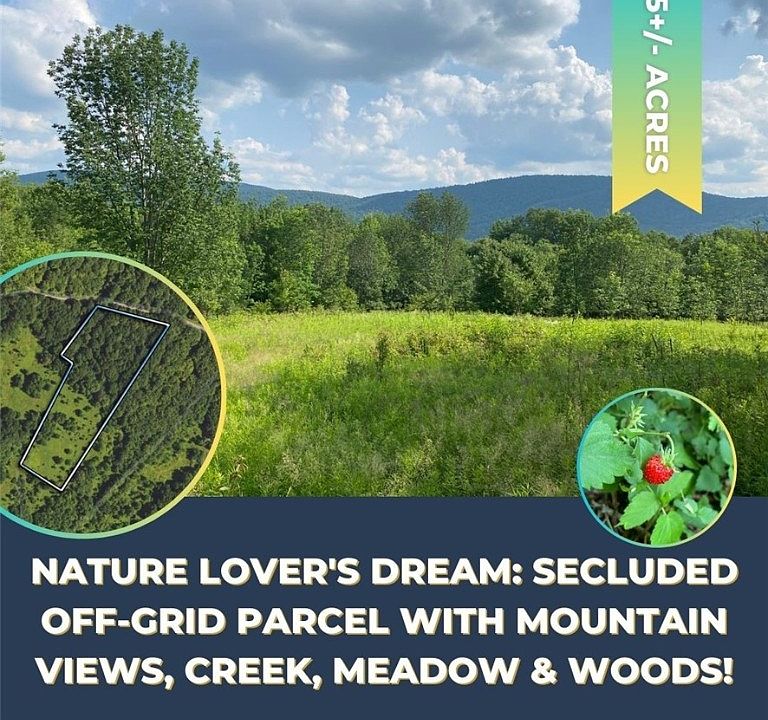 0 Turkey Ln, Hobart, NY 13788 Zillow