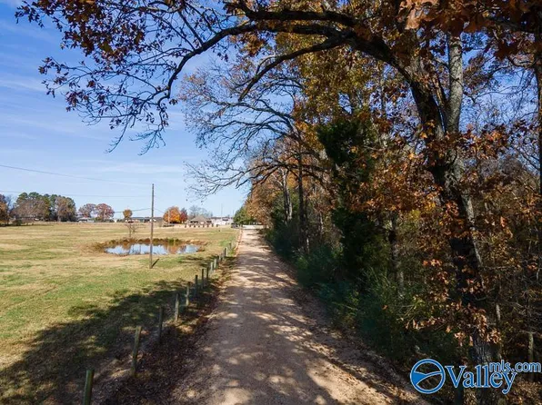 County Road 399, Killen, AL 35645
