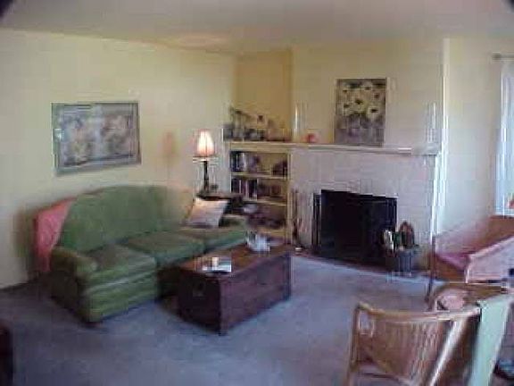 Wood-burning fireplace