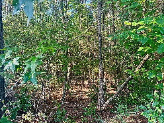 2nd image of Pid 15463 Co Rd #1039