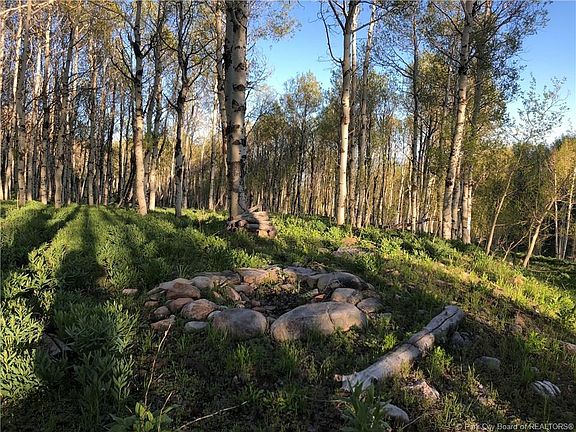 2nd image of 136 Pine Meadow Dr