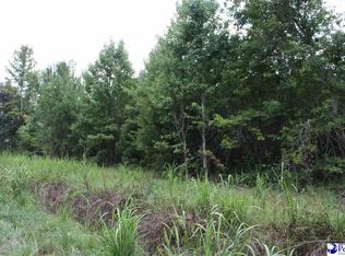 S Old River Rd, Pamplico, SC 29583