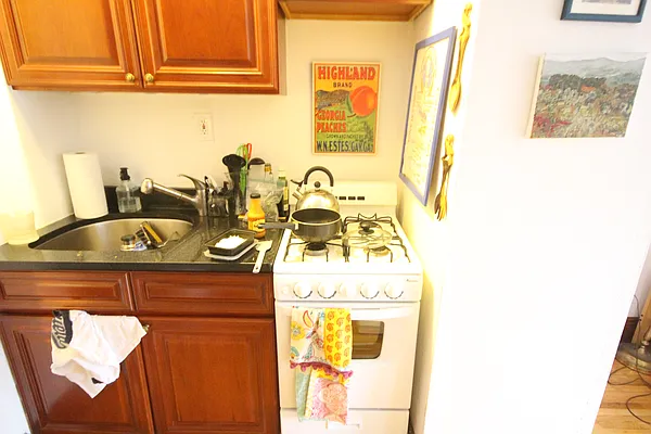 Rented by Alpha Properties NYC I LLC | media 12