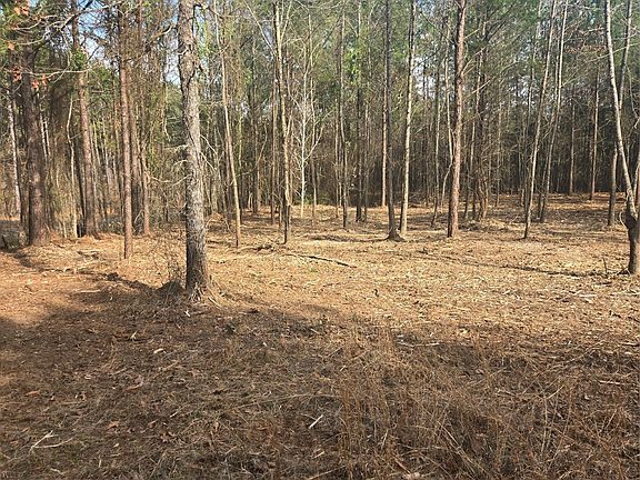 3rd image of 0 Line Rd