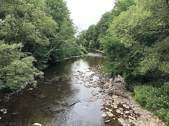 Charlotte Creek Deed Access