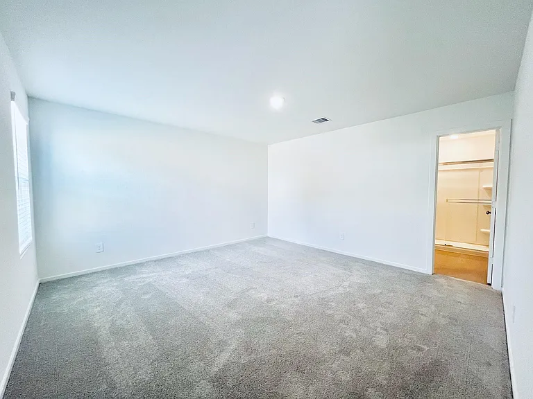 1367 Diamond Carnation Dr — Photo 4