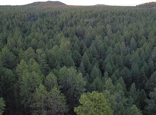 77 E Ski Run Rd, Williams, AZ 86046