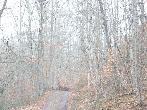 3rd image of Tbd Big Hill Rd