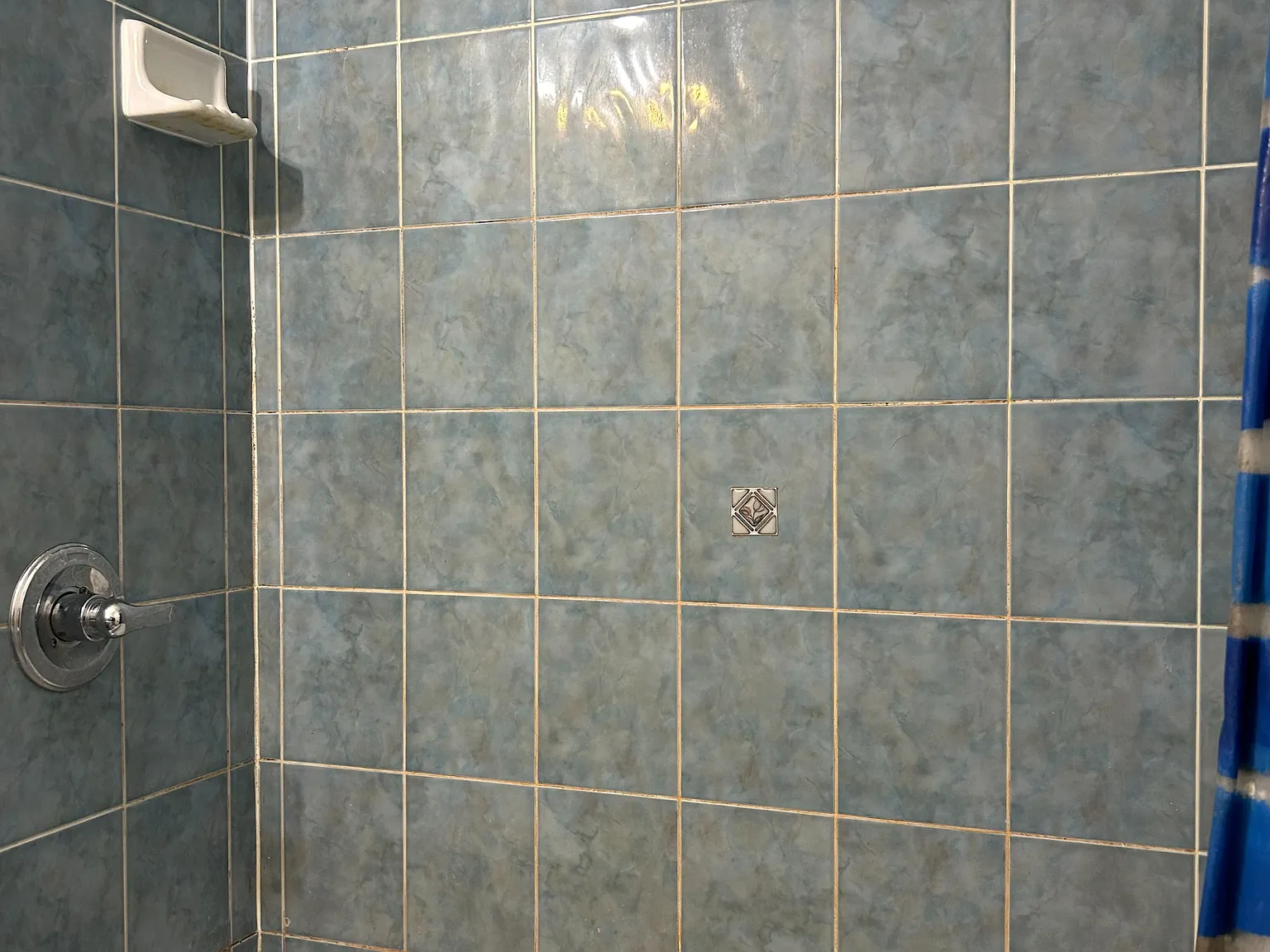 1 bed, $799 — Photo 3