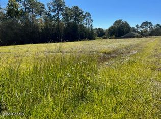Dove Ln, Ville Platte, LA 70586