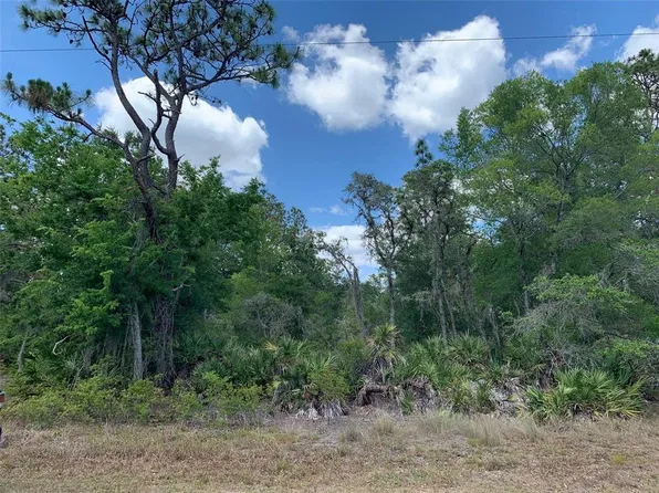 11489 W Cornflower Dr #5, Crystal River, FL 34428