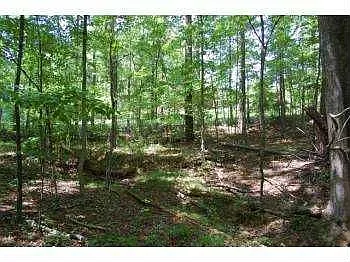 175 Hanover Dr photo 1
