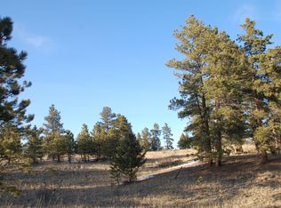 21605 Spring Creek Rd, Pine, CO 80470