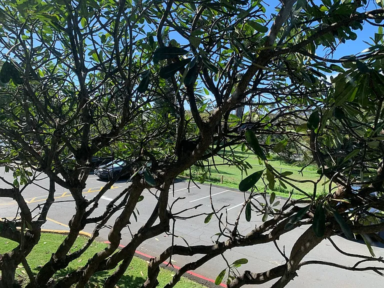 111 Kahului Beach Rd #C215 — Photo 14