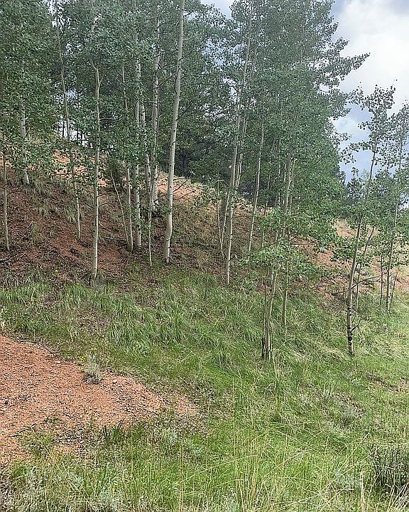 1st image of 148 Oil Creek Dr