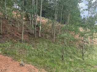 148 Oil Creek Dr, Divide, CO 80814