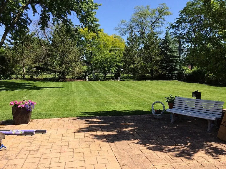 the Yard