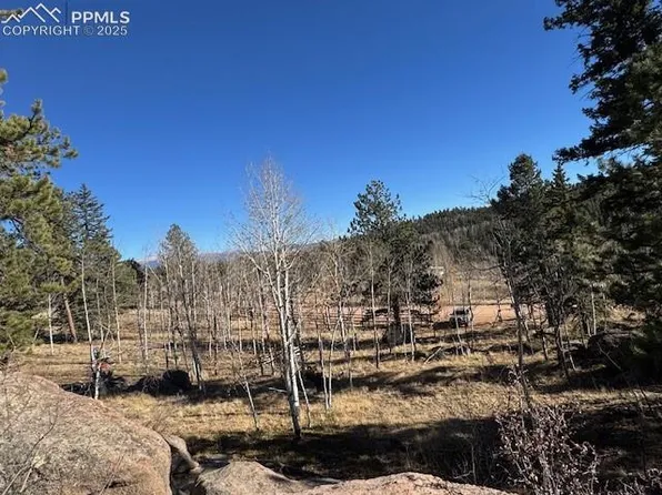 21 County Road 403, Guffey, CO 80820