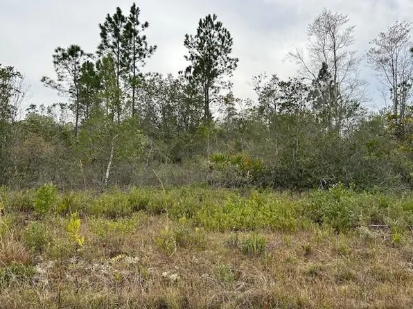 100 Fort Tyler Trl, Waynesville, GA 31566