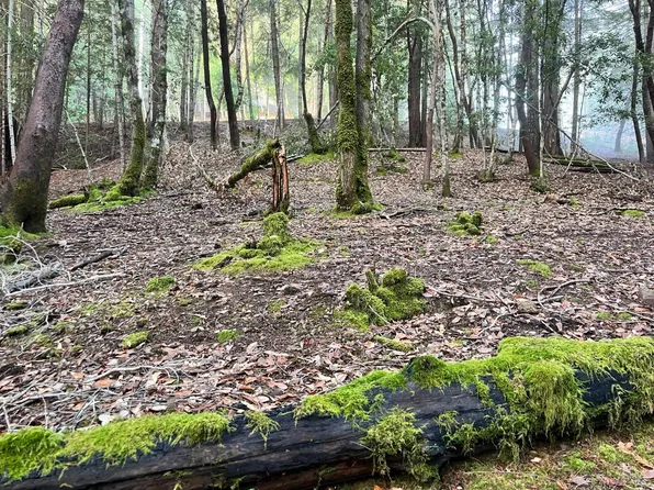 1451 Perch Way, Willits, CA 95490