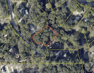 161 Wildwood Dr, Freeport, FL, 32439