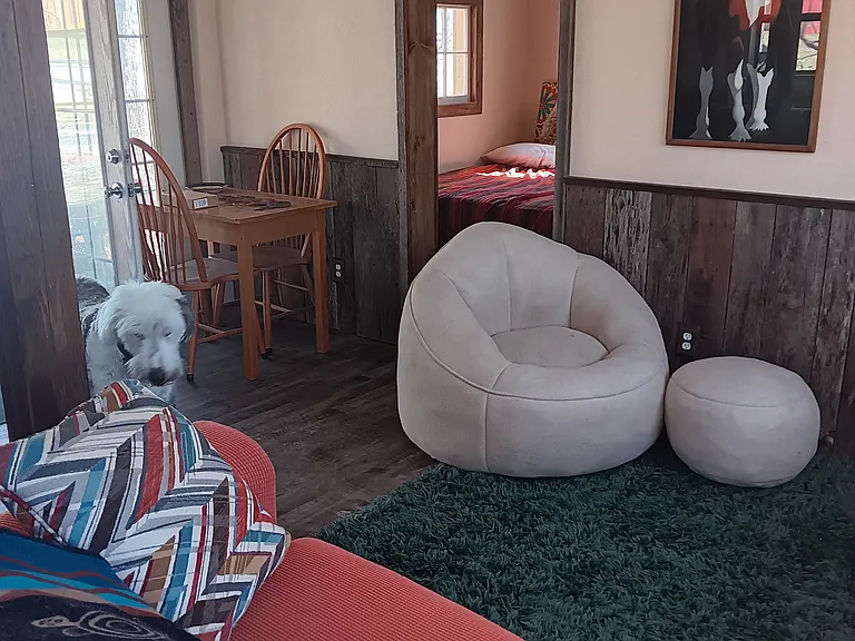 Spruce Creek Dr — Photo 11