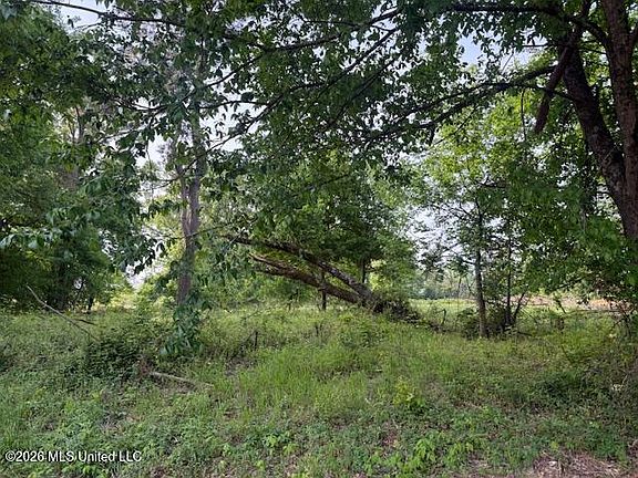 2nd image of LOT 1 Slocum Rd