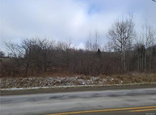 Ellicottville Maples Rd, Ellicottville, NY 14755