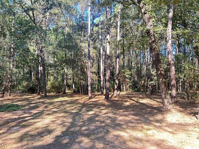24445 Pipestem Dr, Magnolia, TX, 77355