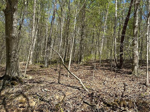 3rd image of 2 Sugar Tree Rd