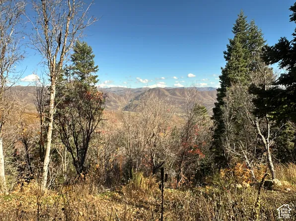 5946 E Whittemore Dr, Springville, UT 84663