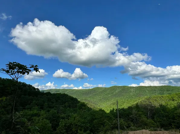 87 Lovely Day Dr, Caldwell, WV 24925
