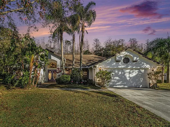 4739 Mahogany Ct, Land O Lakes, FL 34639