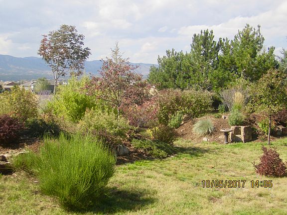 Back yard landscaping