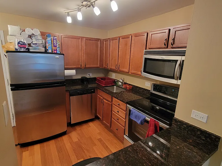 222 E Pearson St #1407 — Photo 15