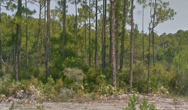 1st image of 103 Stillwater Way