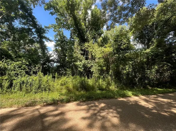 129 Hl Newton Rd, Dry Prong, LA 71423
