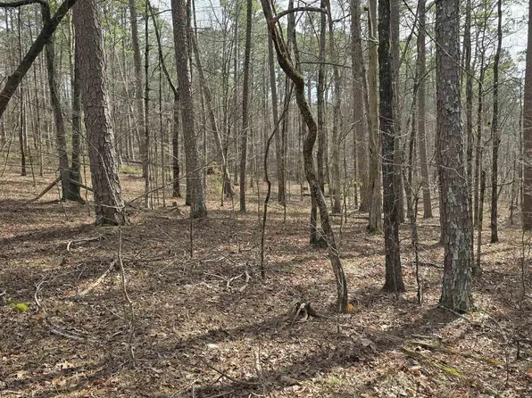 10 Palencia Ln, Hot Springs, AR 71909