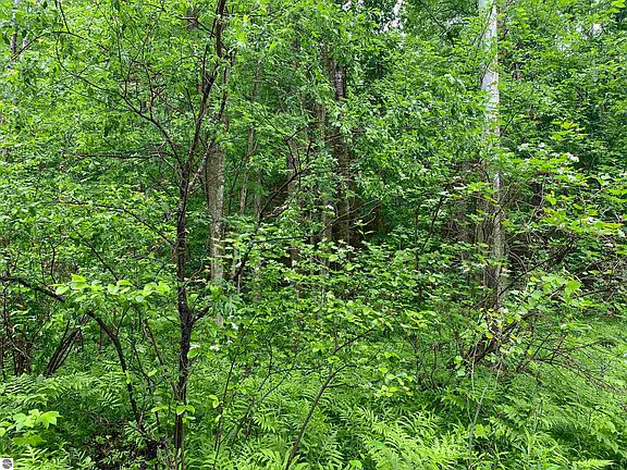 4th image of 15991 Bentley Rd