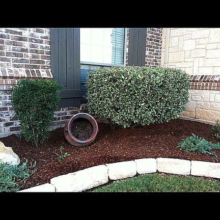 3rd image of 14016 Cromer Dr