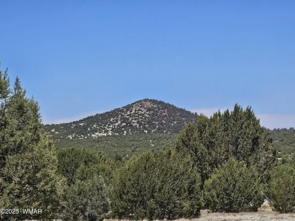 105 Co Rd, Vernon, AZ 85940