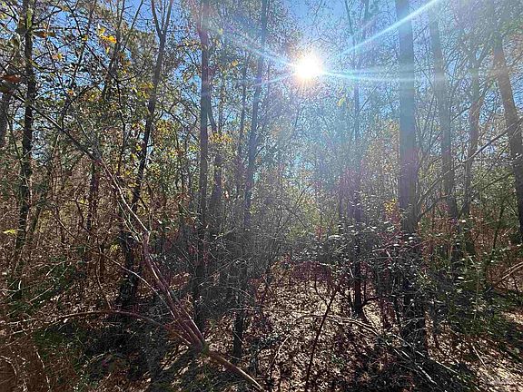 3rd image of 3 Creek Bluff Dr