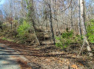 421 Mystic Star Dr, New Tazewell, TN 37825