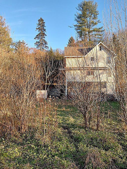 back yard