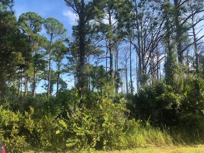 14270 Riseley Ave, Port Charlotte, FL, 33953