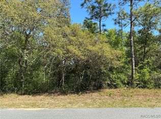 2924 W Camilo Dr, Dunnellon, FL 34434