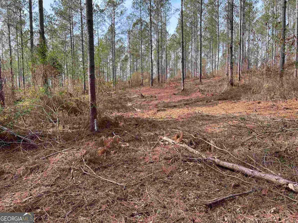 0 Notnomis Rd #16.7, Franklin, GA 30217